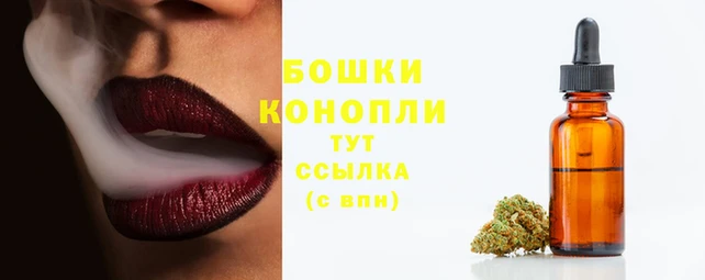 2c-b Няндома