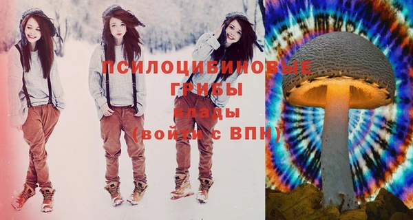 2c-b Няндома