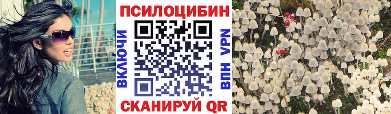 Галлюциногенные грибы Psilocybine cubensis  ОМГ ОМГ вход  Камбарка 