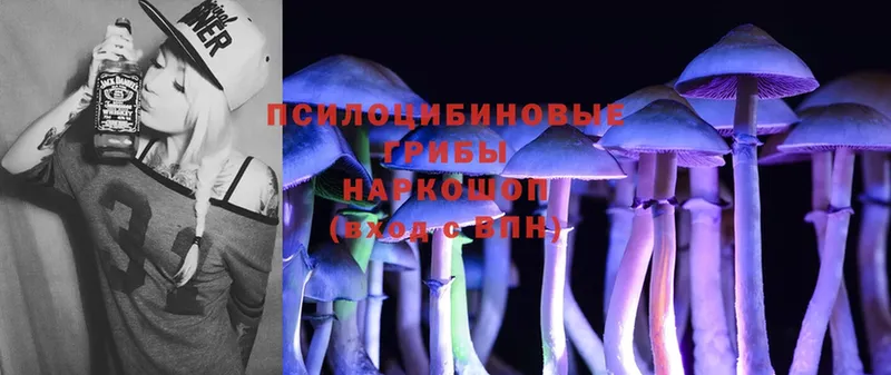 Галлюциногенные грибы Cubensis  магазин    Камбарка 